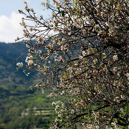 The Old Olive Mill House By Trulycyprus Villa Dhoros Exterior foto