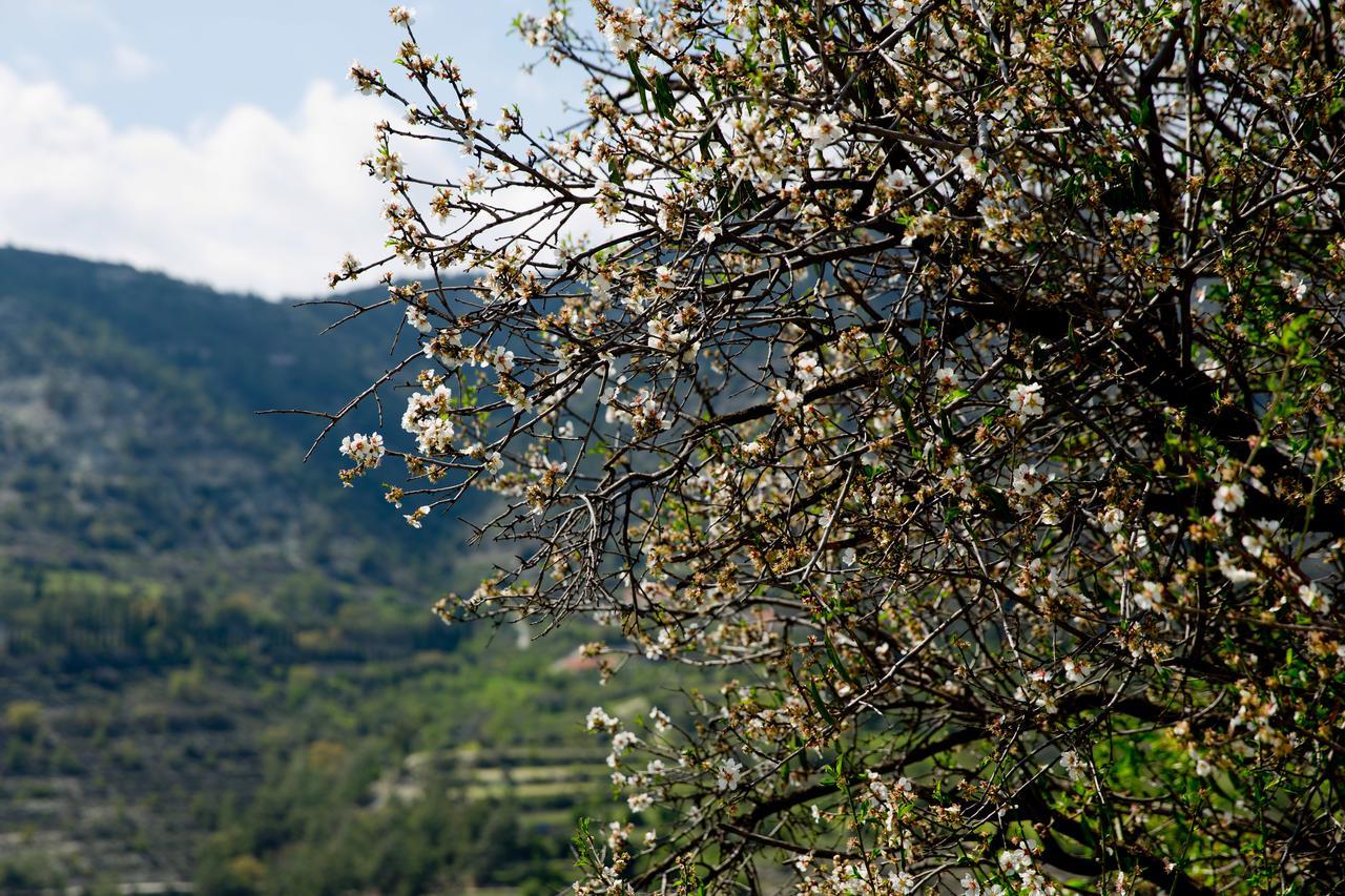 The Old Olive Mill House By Trulycyprus Villa Dhoros Exterior foto