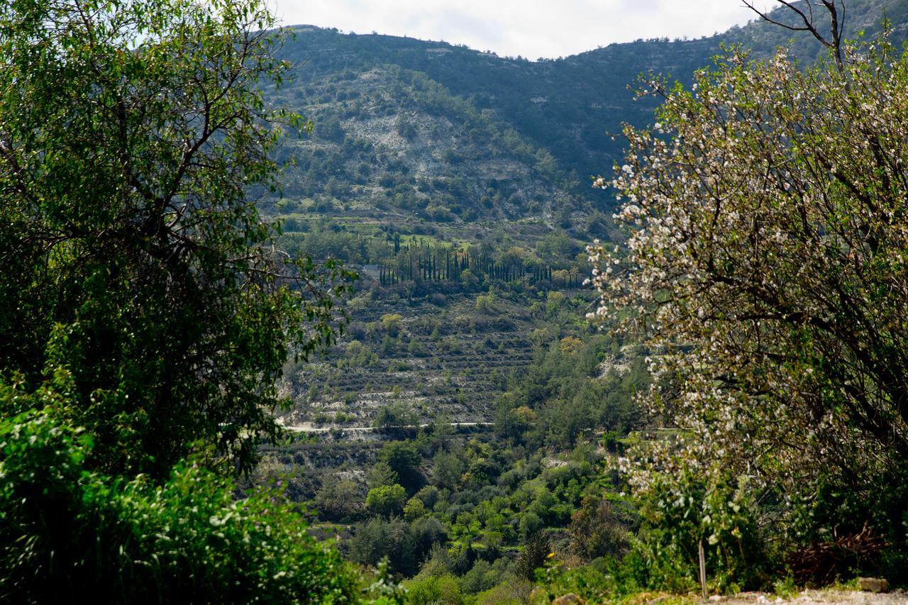 The Old Olive Mill House By Trulycyprus Villa Dhoros Exterior foto